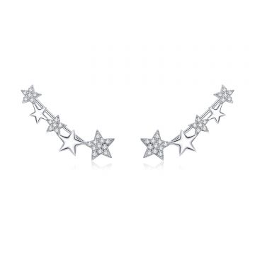 Cercei din argint Shiny Stud Star