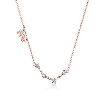 Colier din argint cu Constelatia Varsator rose gold
