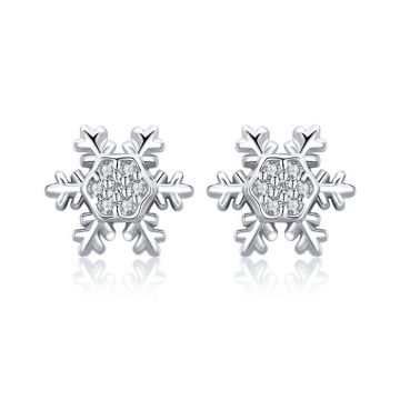 Cercei din argint Winter Snowflakes