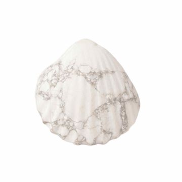 Figurina 4 cm din cristal natural Howlita in forma de scoica, ornamente pentru acvariu, marturie tip cadou de nunta, proiecte DIY
