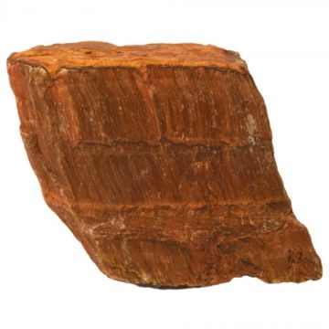 Pietre brute din cristal natural Ochi de Tigru 4-5 cm ,   Talisman al Prosperitatii si Increderii in Sine