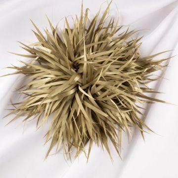 Brosa franjuri textil kaki usor satinat cu diametru de 15 cm, cu clips pentru par