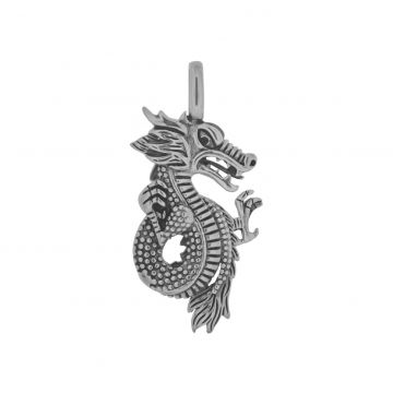 Pandantiv din argint - dragon