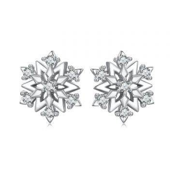 Cercei din argint Elegant Snowflake