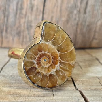 Inel amonit bronz | Model 1