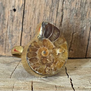Inel amonit bronz | Model 2