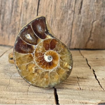 Inel amonit bronz | Model 3