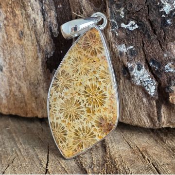 Pandantiv coral fosilizat din argint | Model 1