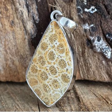 Pandantiv coral fosilizat din argint | Model 2