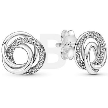 PANDORA Pandora Moments 291076C01