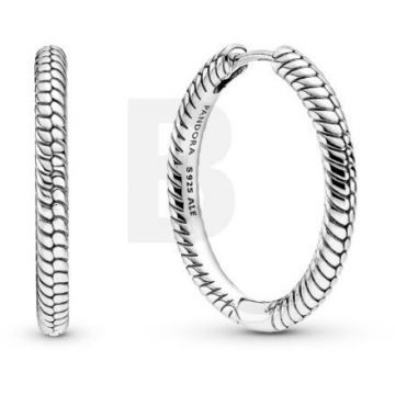 PANDORA Pandora Moments 299532C00