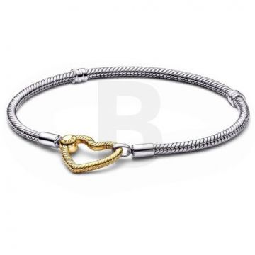 PANDORA Pandora Moments 569539C00-16