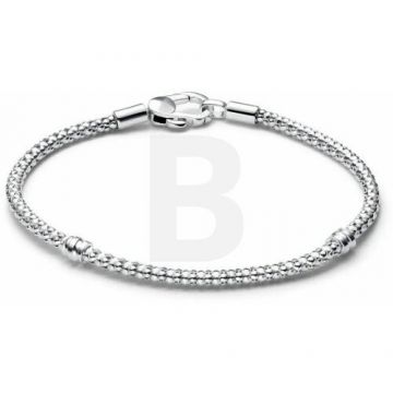 PANDORA Pandora Moments 593681C00-23