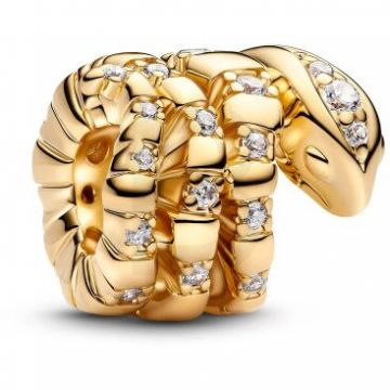 PANDORA Pandora Moments 763618C01