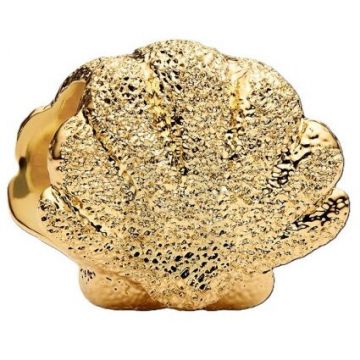 PANDORA Pandora Moments 764057C00