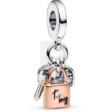 PANDORA Pandora Moments 782506C01