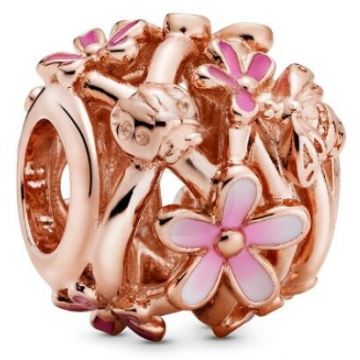 PANDORA Pandora Moments 788772C01