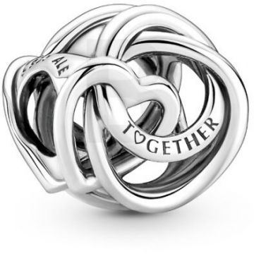 PANDORA Pandora Moments 791507C00