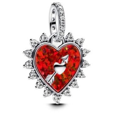 PANDORA Pandora Moments 793667C01