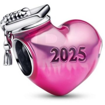 PANDORA Pandora Moments 793788C01