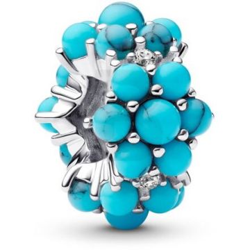 PANDORA Pandora Moments 793897C02