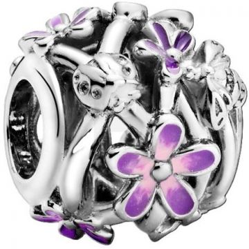 PANDORA Pandora Moments 798772C02