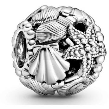 PANDORA Pandora Moments 798950C00