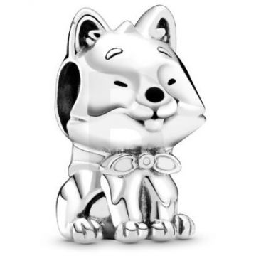 PANDORA Pandora Moments 799030C01