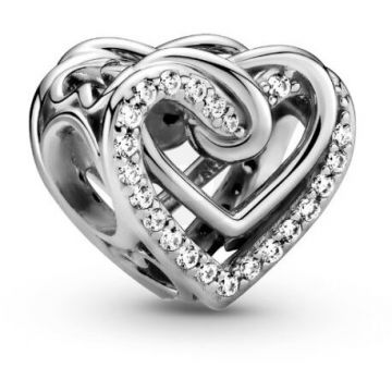 PANDORA Pandora Moments 799270C01