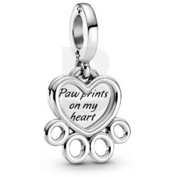 PANDORA Pandora Moments 799360C00