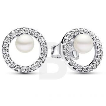 PANDORA Pandora Timeless 293154C01