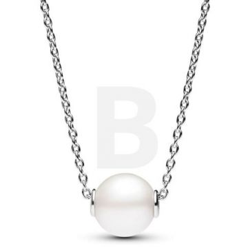 PANDORA Pandora Timeless 393167C01-45