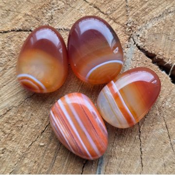 Cabochon carneol dungat rulat