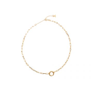 Colier ALDO auriu, DAPHNEYY 710, din metal