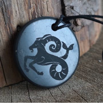 Pandantiv shungit zodia Capricorn