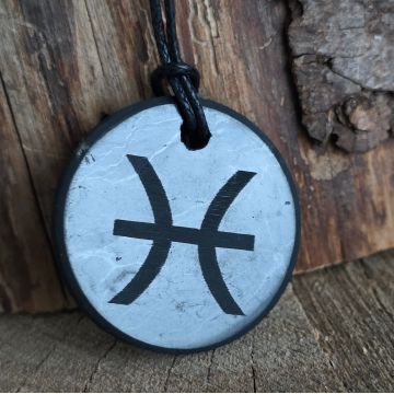 Pandantiv shungit zodia Pesti