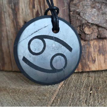 Pandantiv shungit zodia Rac