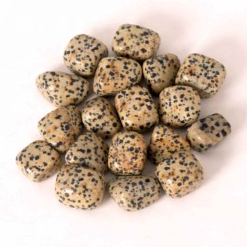 Piatra rulata de Jasp Dalmatian ,   Aduce echilibru, stabilitate si o legatura blanda cu natura