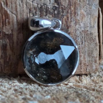 Pandantiv meteorit Pallasite | Model 1