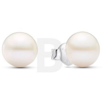 PANDORA Pandora Timeless 293168C01