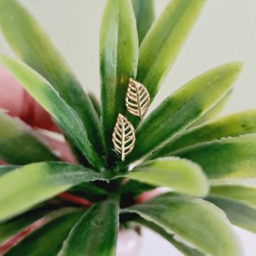 Cercei Frunza schimbarii - Aur Galben 9K - Inchizatoare surub